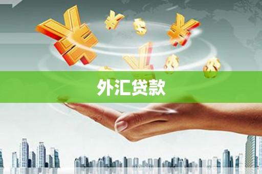 六盘水外汇贷款