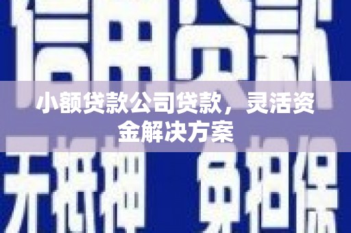 瑞昌小额贷款公司贷款，灵活资金解决方案