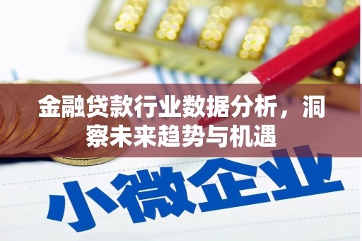 昭化金融贷款行业数据分析，洞察未来趋势与机遇