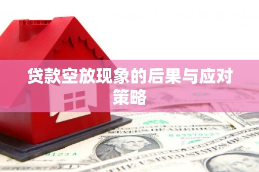 吉州贷款空放现象的后果与应对策略